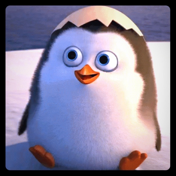 Meet your Posher, Roxana - Picture 1 of 1